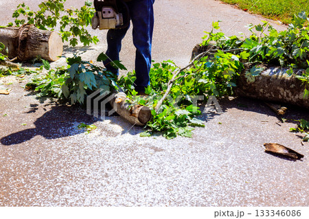 Man cuts through fallen tree branches using chainsaw after tornado storm in neighborhood. 133346086