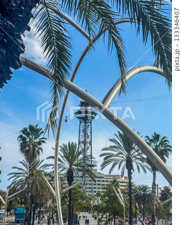 Barcelona Cable Car Palm Trees Urban Landmark Barcelona Cable Car Palm Trees Urban Landmark 133346407