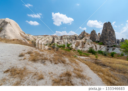 Volcanic rock formations landscape in Cappadocia, place of residence of ancient Christians 133346683