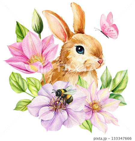 Bunny with pink and lilac clematis flowers bee and butterfly in soft spring watercolor illustration for design Bunny with pink and lilac clematis flowers bee and butterfly in soft spring watercolor illustration for design 133347666