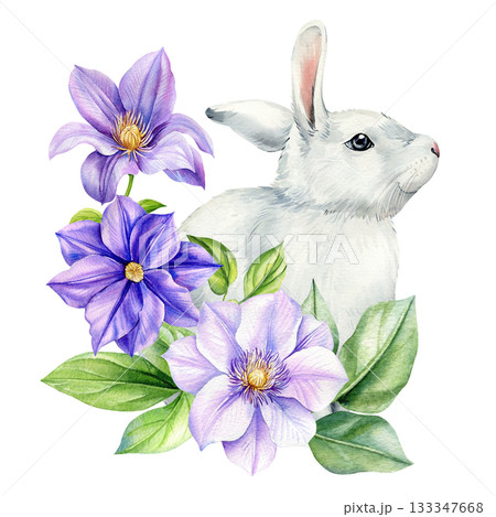 White bunny with purple and lilac clematis flowers in elegant watercolor botanical illustration for spring decor 133347668