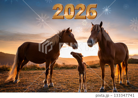 馬の家族　 133347741