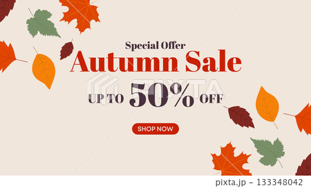 Autumn Sale Offer Template with Falling Leaves and Soft Background Autumn Sale Offer Template with Falling Leaves and Soft Background 133348042