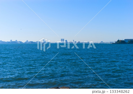 千葉県船橋市三番瀬干潟周辺2025年11月 133348262