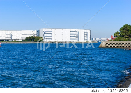 千葉県船橋市三番瀬干潟周辺2025年11月 千葉県船橋市三番瀬干潟周辺2025年11月 133348266