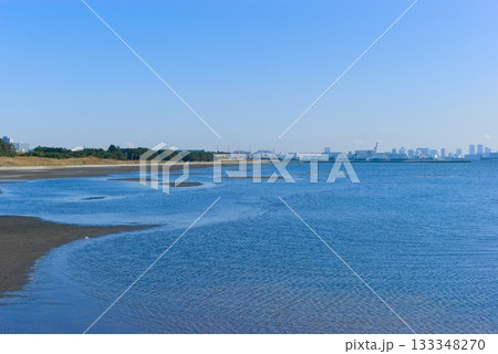 千葉県船橋市三番瀬干潟周辺2025年11月 133348270
