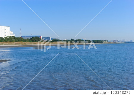 千葉県船橋市三番瀬干潟周辺2025年11月 133348273