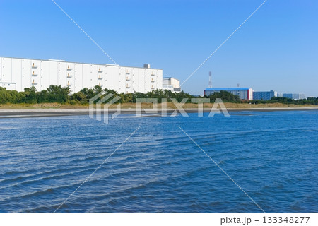 千葉県船橋市三番瀬干潟周辺2025年11月 133348277