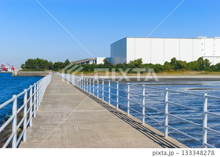 千葉県船橋市三番瀬干潟周辺2025年11月 千葉県船橋市三番瀬干潟周辺2025年11月 133348278