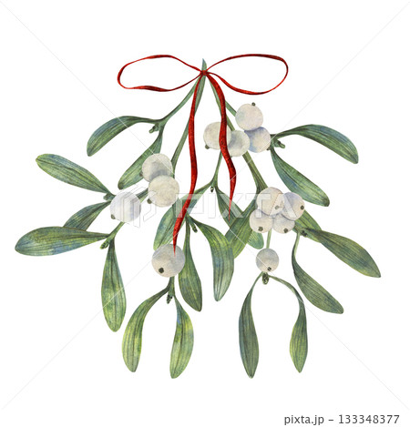 Hand drawn Christmas vibe mistletoe illustration with green leaves, white berries and red ribbon in watercolor style, festive palette for winter cards decor, packaging, textile, print, art element Hand drawn Christmas vibe mistletoe illustration with green leaves, white berries and red ribbon in watercolor style, festive palette for winter cards decor, packaging, textile, print, art element 133348377