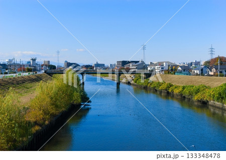 東京都芝川サイクリングロード沿線2025年11月 133348478