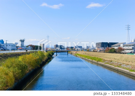 東京都芝川サイクリングロード沿線2025年11月 133348480