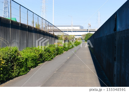 千葉県船橋市船橋三番瀬干潟周辺道路2025年11月 千葉県船橋市船橋三番瀬干潟周辺道路2025年11月 133348591