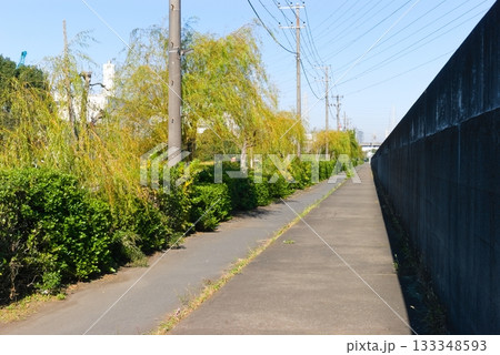 千葉県船橋市船橋三番瀬干潟周辺道路2025年11月 千葉県船橋市船橋三番瀬干潟周辺道路2025年11月 133348593