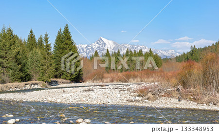 Forest river Bela with small round stones and coniferous trees and brown bushes on both sides, sunny day, Krivan peak - Slovak symbol - in distance 133348953