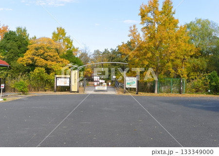 東京都葛飾区水元公園周辺2025年11月 東京都葛飾区水元公園周辺2025年11月 133349000