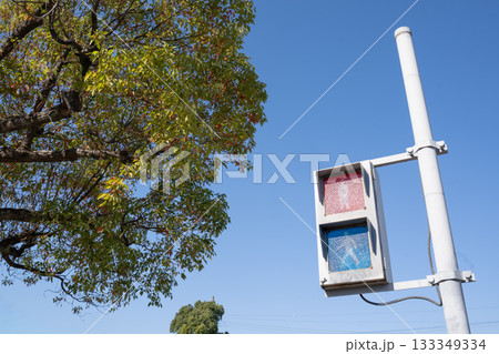 横断歩道の歩行者用信号と青空 133349334
