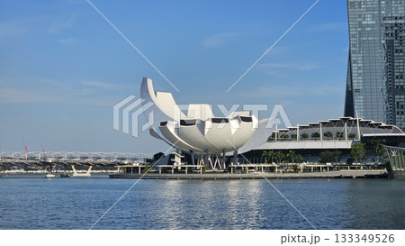 This is marina bay sands with art building 133349526