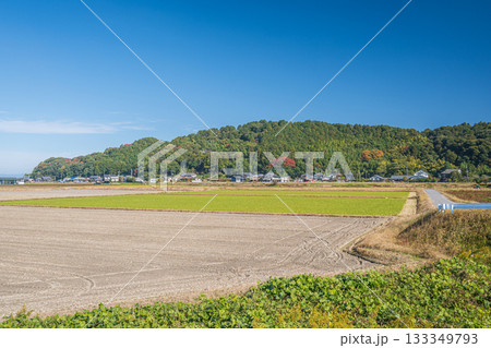 近江平野の田園風景　滋賀県近江八幡市 133349793