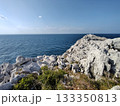 白崎海洋公園展望台からの景色その2 133350813