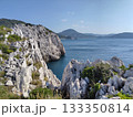 白崎海洋公園展望台からの景色 133350814