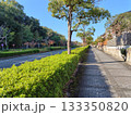 新興住宅街の坂道 133350820