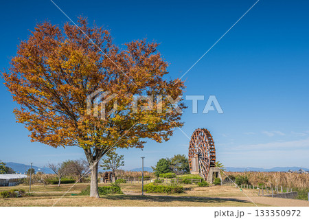 能登川水車　伊庭内湖　滋賀県東近江市 133350972