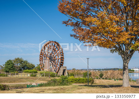 能登川水車　伊庭内湖　滋賀県東近江市 133350977