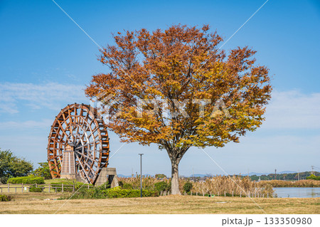 能登川水車　伊庭内湖　滋賀県東近江市 133350980