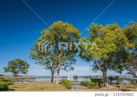 伊庭内湖 親水公園 滋賀県東近江市 伊庭内湖 親水公園 滋賀県東近江市 133350982