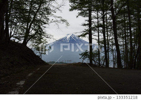 山梨県河口湖町から望む初夏の富士山 山梨県河口湖町から望む初夏の富士山 133351218