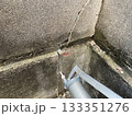 ひび割れ補修 133351276
