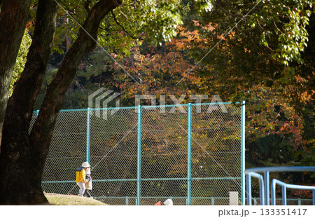 秋の公園で遊んでいる保育園の園児たちの姿 133351417