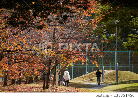 秋の公園で遊んでいる保育園の園児と保育士の姿と綺麗な紅葉の風景 秋の公園で遊んでいる保育園の園児と保育士の姿と綺麗な紅葉の風景 133351456
