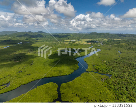 Expansive mangrove landscape with river flowing toward distant valley and mountains. Siargao, Philippines. Expansive mangrove landscape with river flowing toward distant valley and mountains. Siargao, Philippines. 133351552