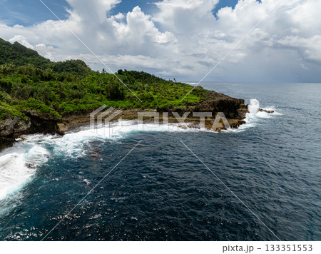Dense forest and rocky headland with waves crashing against the shore under partly cloudy skies. Dense forest and rocky headland with waves crashing against the shore under partly cloudy skies. 133351553