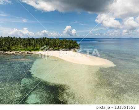 Palm forest extends to a sandy beach meeting the shallow turquoise water along the tropical coastline. Kawhagan Island. Siargao, Philippines. 133351555