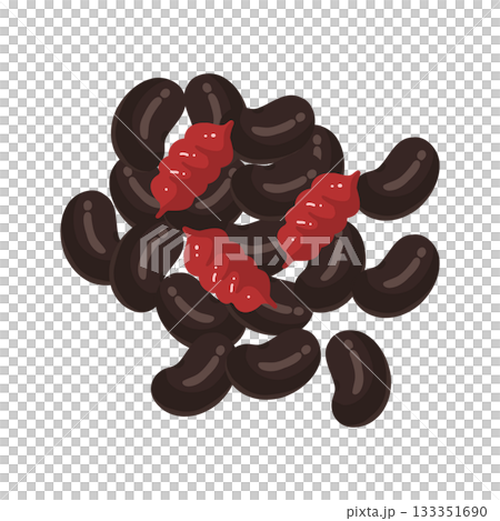 Illustration of black beans and Chinese holly 133351690