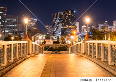 《大阪府》中之島公園の夜景・大阪の中心街 133351721