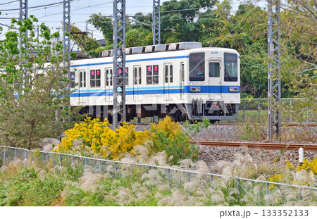 鉄道　私鉄・東武野田線　8000系　8165F 133352133