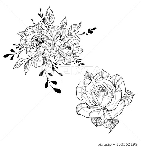 Minimalist Hand-Drawn Botanical Sketch Collection. Versatile monochrome botanical set ideal for a wide range of decorative and commercial projects Minimalist Hand-Drawn Botanical Sketch Collection. Versatile monochrome botanical set ideal for a wide range of decorative and commercial projects 133352199