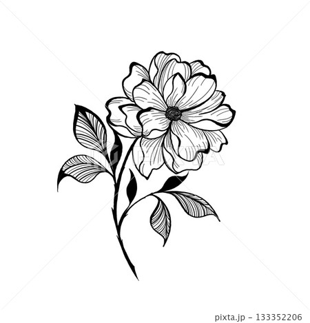 flower in line art style. Black and white line illustration of daisy flowers on a white background. Line art botany tattoo 133352206