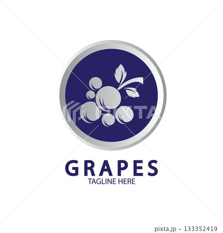 Grapes Vector Logo Icon isolated. Organic Wine branding template. Nature Grapes Logotype Grapes Vector Logo Icon isolated. Organic Wine branding template. Nature Grapes Logotype 133352419
