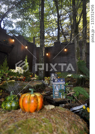 ハロウィン 133352456