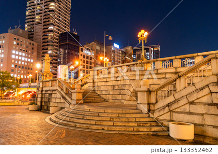 《大阪府》中之島公園の夜景・大阪の中心街 133352462