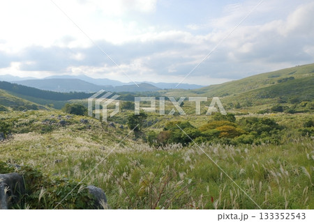 ススキが広がる秋のカルスト台地 133352543