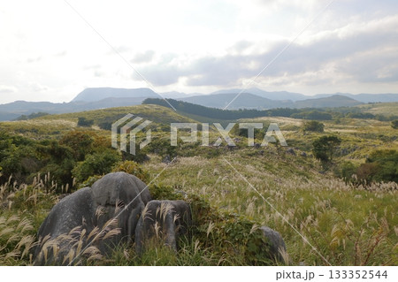 ススキが広がる秋のカルスト台地 133352544
