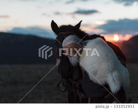 A revered Viking chieftain, with a long white beard and braided hair, shares a tender moment embracing his loyal black horse at sunset, overlooking rugged mountains. A revered Viking chieftain, with a long white beard and braided hair, shares a tender moment embracing his loyal black horse at sunset, overlooking rugged mountains. 133352931