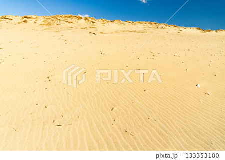 《静岡県》中田島砂丘・晴天下の風景 《静岡県》中田島砂丘・晴天下の風景 133353100
