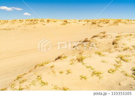 《静岡県》中田島砂丘・晴天下の風景 133353105